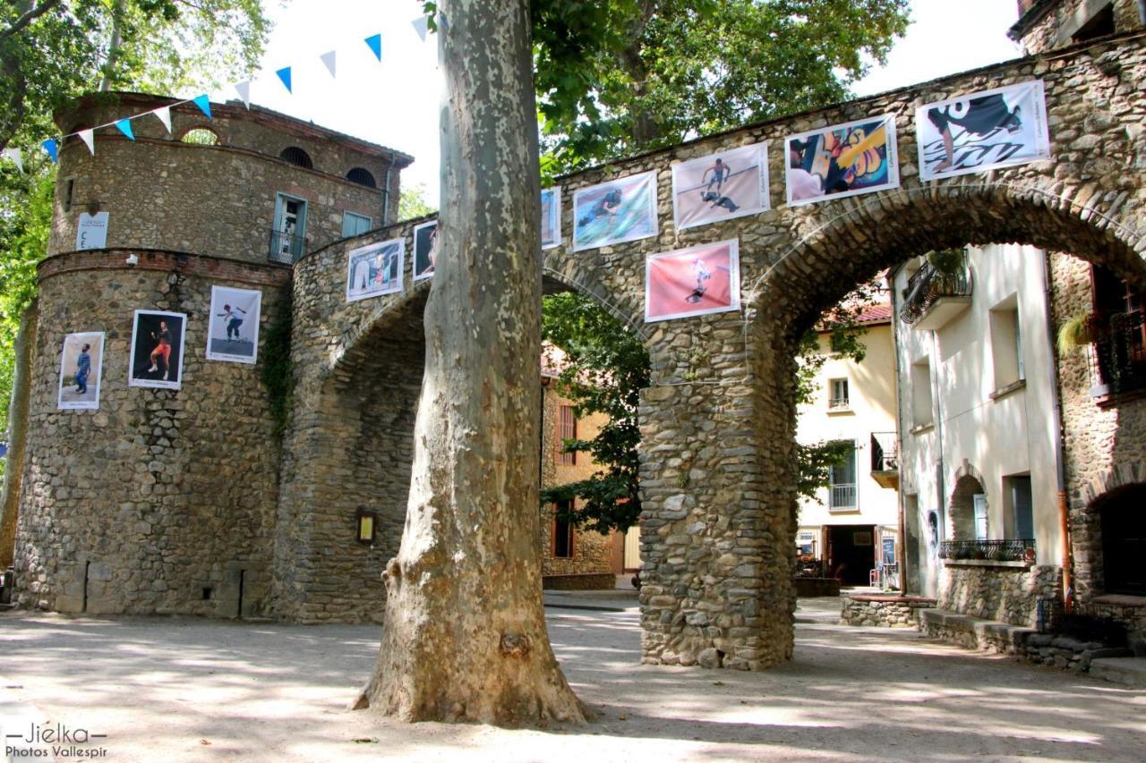 Apartament La Cigogne Céret Zewnętrze zdjęcie