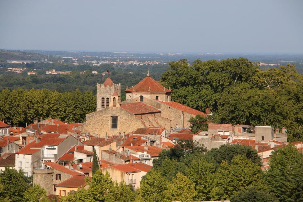 Apartament La Cigogne Céret Zewnętrze zdjęcie
