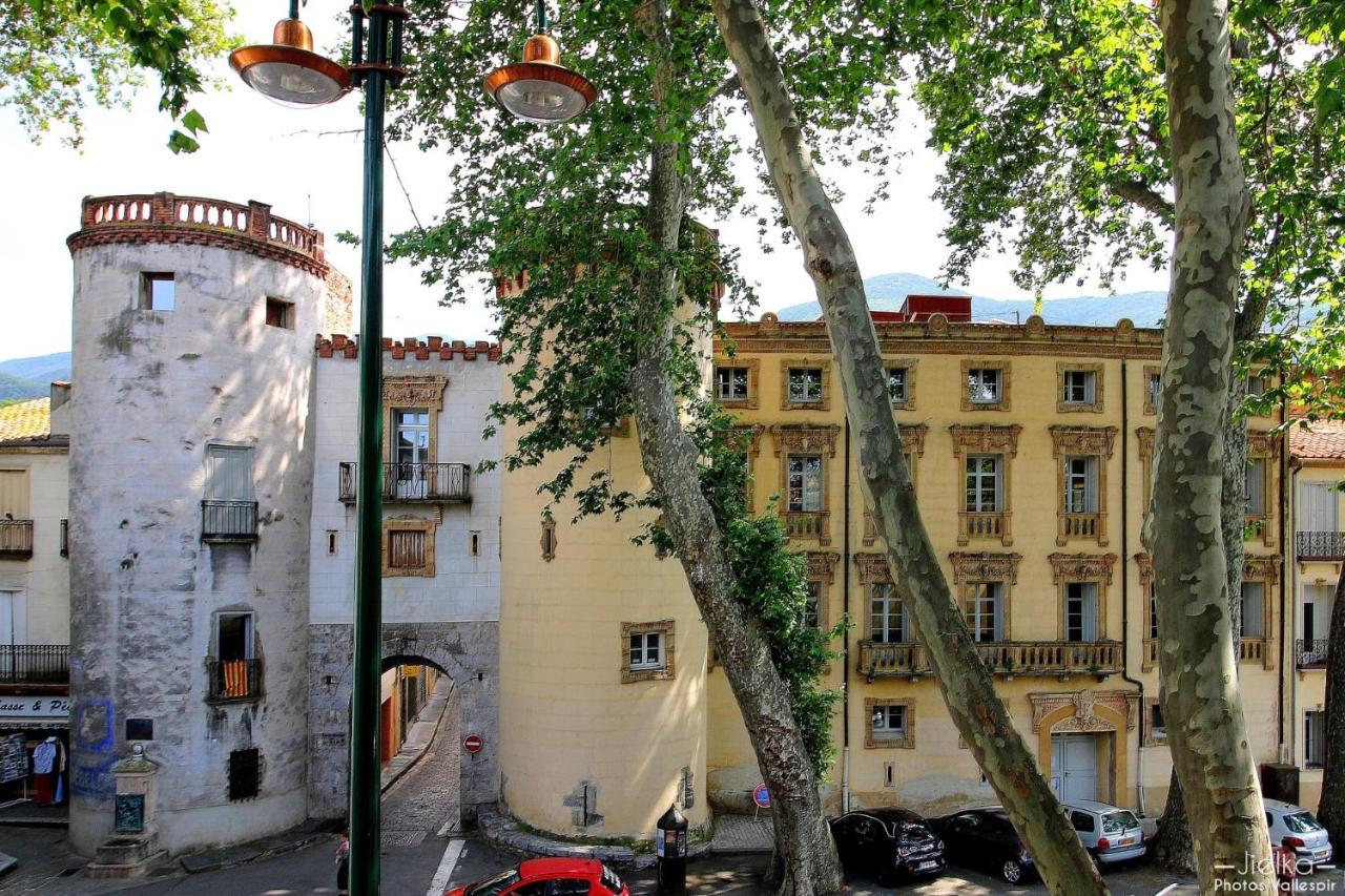 Apartament La Cigogne Céret Zewnętrze zdjęcie
