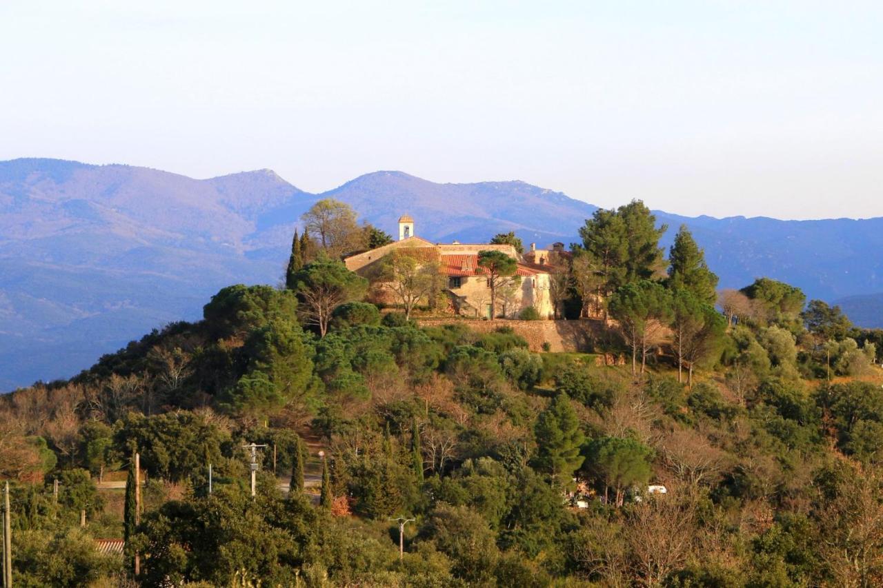Apartament La Cigogne Céret Zewnętrze zdjęcie